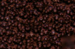 Copper vein, 11-20 gloss powder coating